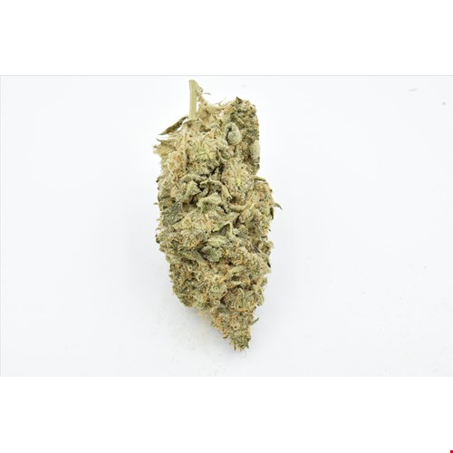 Animal Cookies (Hybrid) - SALE 1 OZ $85